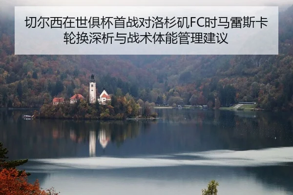 qie-er-xi-zai-shi-ju-bei-shou-zhan-dui-luo-shan-ji-shi-ma-lei-si-ka-lun-huan-shen-xi-yu-zhan-shu-ti-neng-guan-li-jian-yi-2-766.jpg